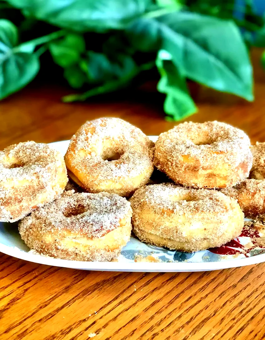 44 Hot Weather Air Fryer Recipes for Easy Summer Cooking Air Fryer Cinnamon-Sugar Doughnuts
