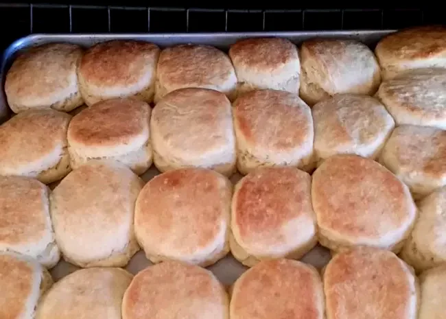 25 Scratch-Made Biscuit Recipes for Home Bakers Angel Biscuits
