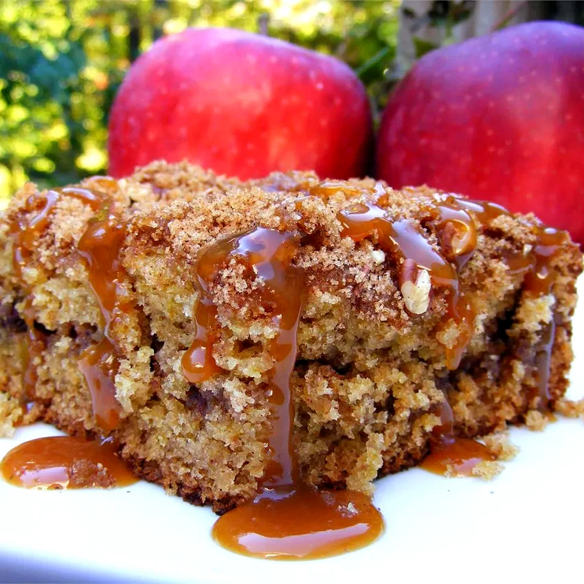 27 Amazing Cakes Using Sour Cream for Extra Moisture Apple Butter Spice Cake