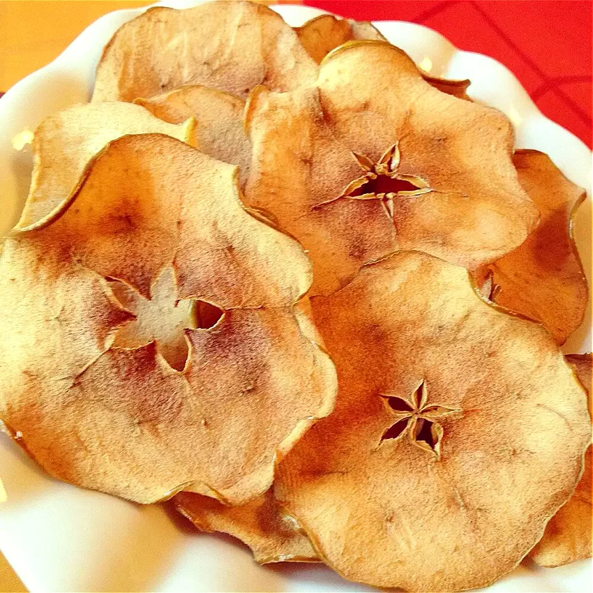 19 Outdoor Snacks That Will Keep You Satisfied Apple Chips