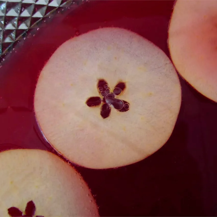 23 Festive Holiday Drinks Without Alcohol for Everyone Apple Orchard Punch