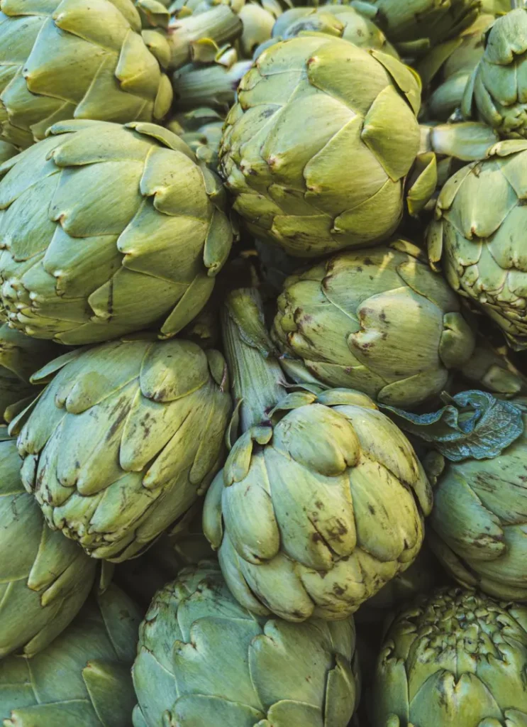 Artichokes