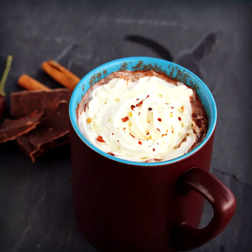 31 Amazing Recipes for Warm Homemade Hot Chocolate Authentic Mexican Hot Chocolate with Chile