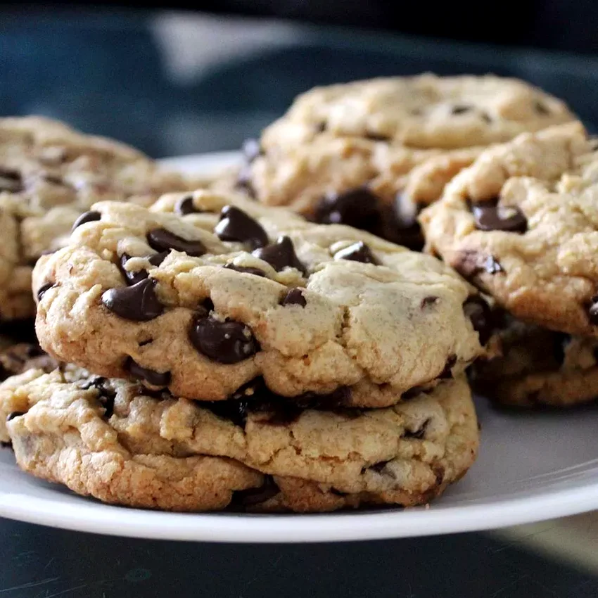 Best Big Fat Chewy Chocolate Chip Cookie