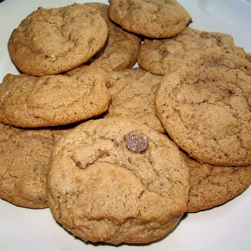 18 Prize-Winning Dessert Recipes That Earned Blue Ribbons Best Ever Chewy Chocolate Chocolate Chunk Cookies