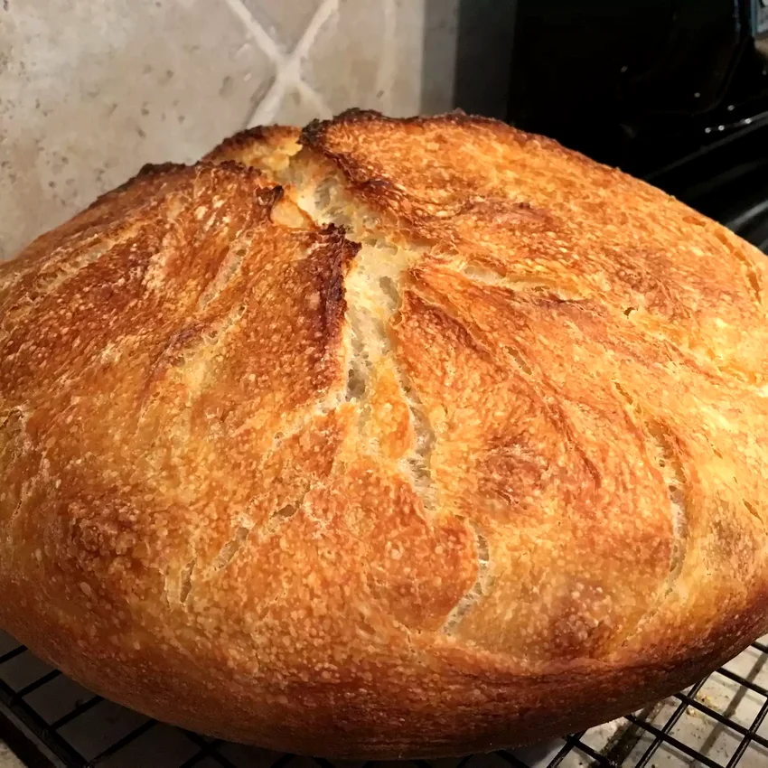 Better-Than-Bakery No-Knead Sourdough