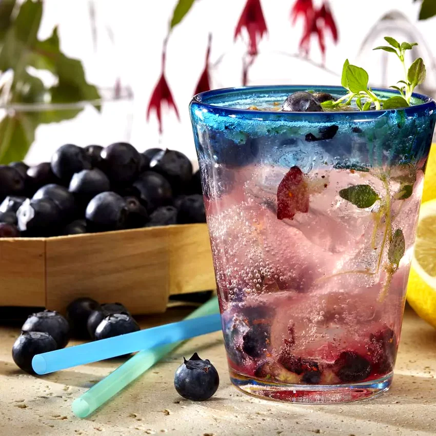 28 Thirst-Quenching Lemonade Recipes for Summer Sipping Blueberry Stevia Lemonade