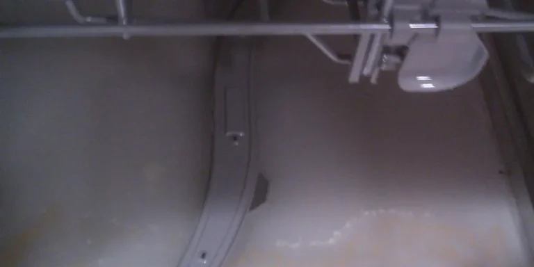 Bosch Dishwasher Fills with Water When Not in Use