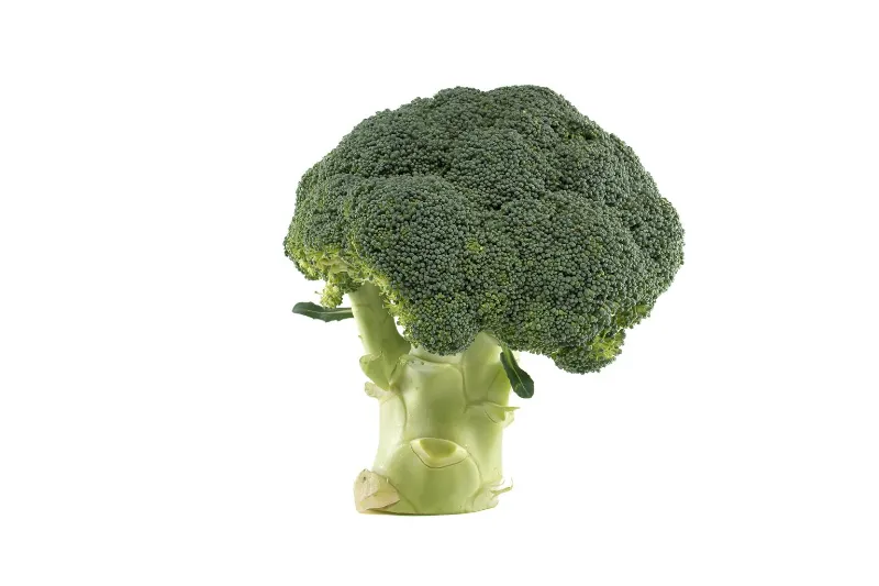 Broccoli 2