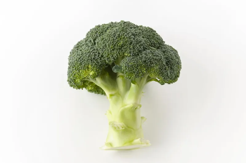 Broccoli 4