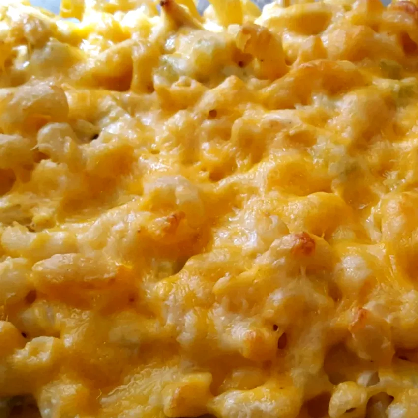 50 Amazing Ways to Use Buffalo Sauce in Your Cooking Buffalo Chicken Casserole