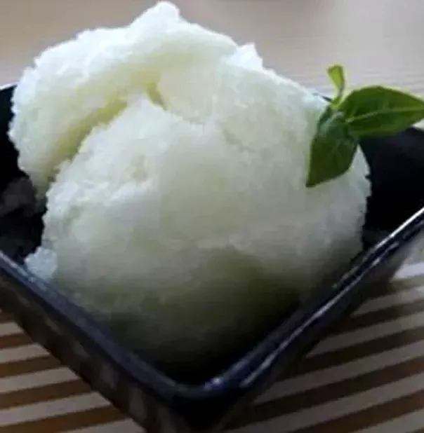 30 Zesty Lime Treats Bursting with Fresh Citrus Taste Cactus Fig and Lime Sorbet