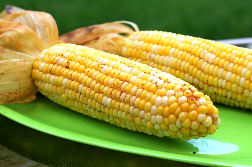 Top 20 Fourth of July Sides Perfect for Summer Cookouts Cajun Grilled Corn
