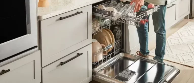Can China Go In The Dishwasher? Everything You Need To Know