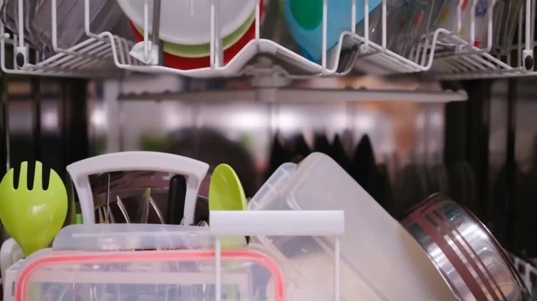 Can Mold In Dishwasher Make You Sick?