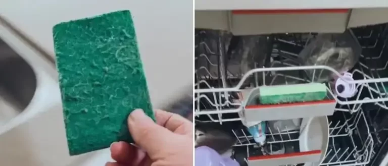 Can You Put A Sponge In The Dishwasher?