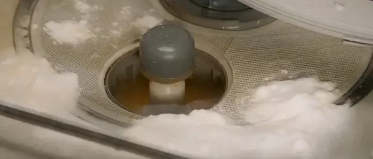 Can You Put Drain Cleaner In A Dishwasher?