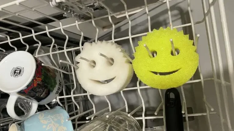 Can You Put Scrub Daddy Sponges In The Dishwasher?