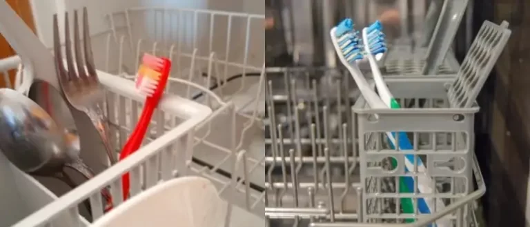 Can you put a toothbrush in the dishwasher