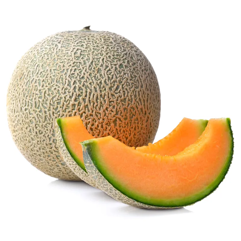 Cantaloupe 1