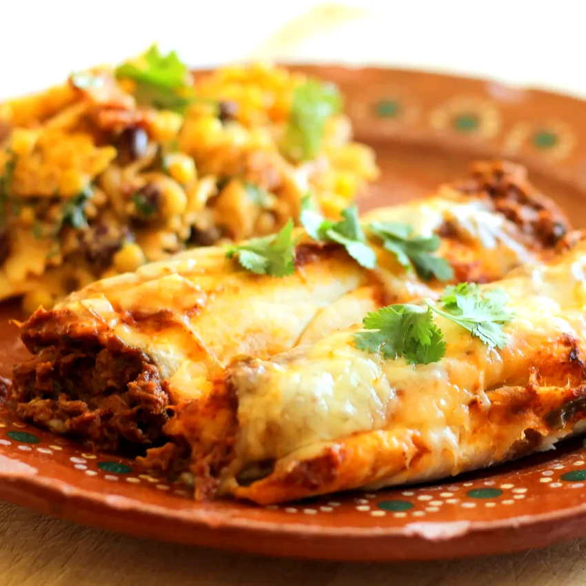 Carne Asada Enchiladas