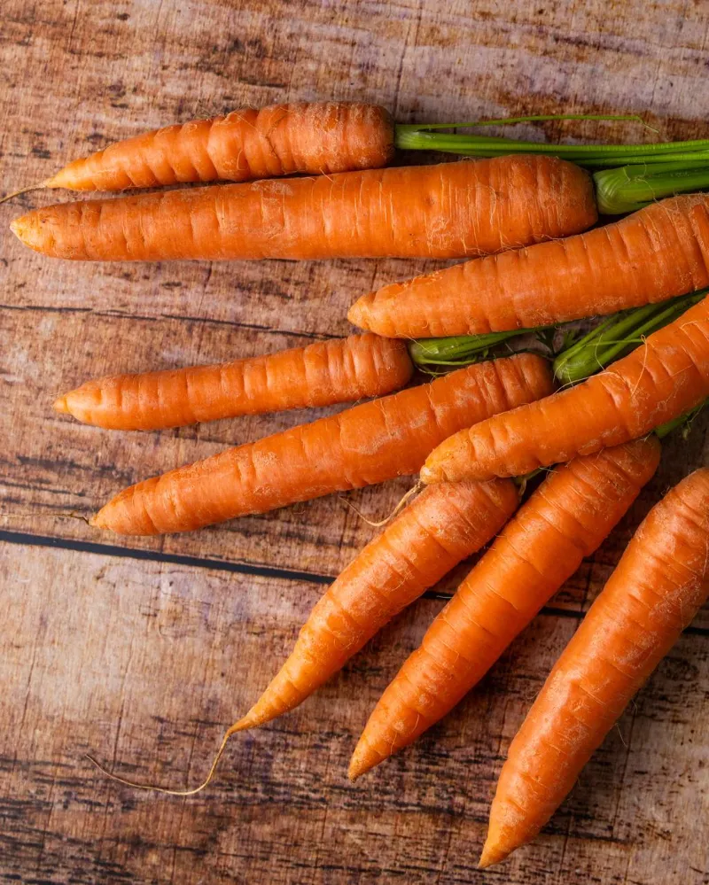 Carrots 2