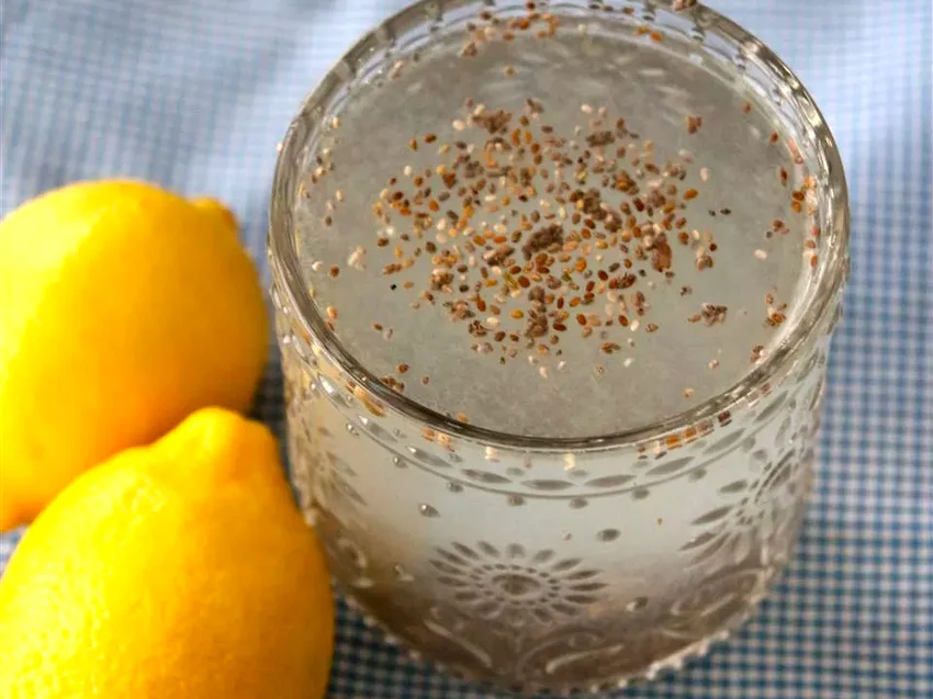 15 Fresh and Cooling Agua Fresca Recipes for Summer Chia Fresca