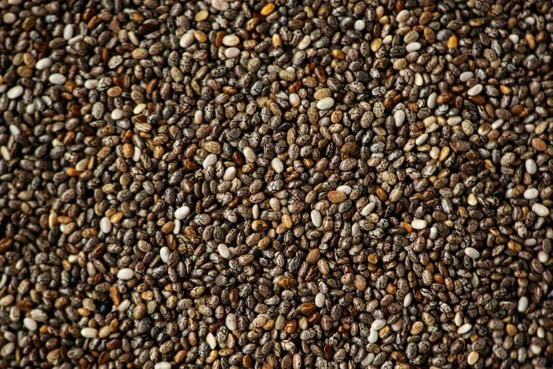 Chia Seeds 1
