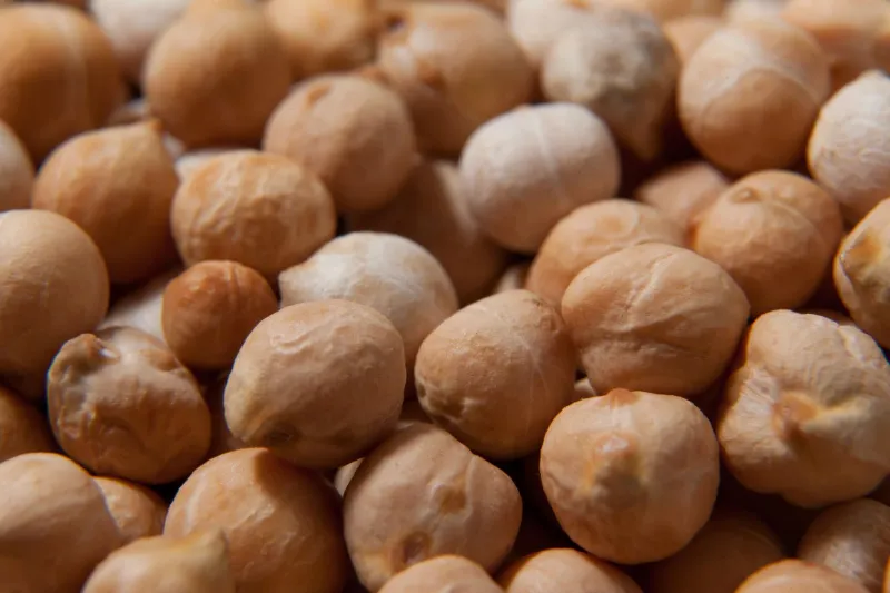 Chickpeas 1