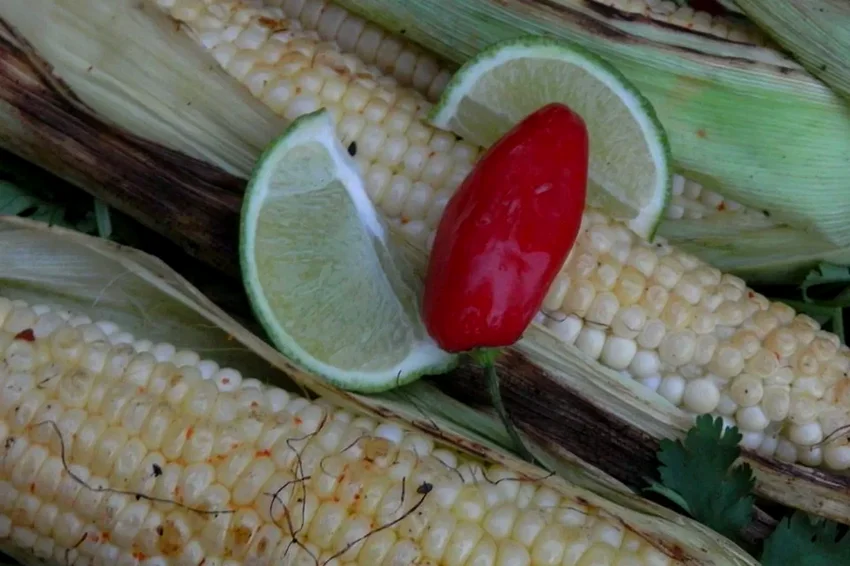 24 Perfect Side Dishes to Serve with Your Favorite Soups Chili-Lime Grilled Corn-on-the-Cob