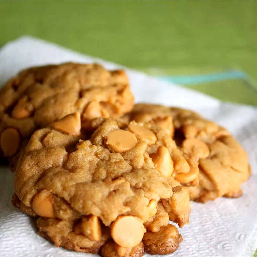 Top 25 Chocolate Chip Cookie Recipes for Every Occasion Chocolate Chip Pudding Cookies