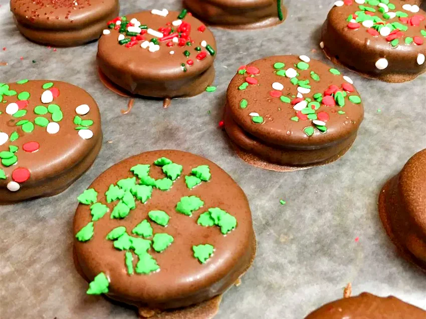 33 Creative Ritz Cracker Recipes for Every Home Cook Chocolate Coated Peanut Butter Crackers