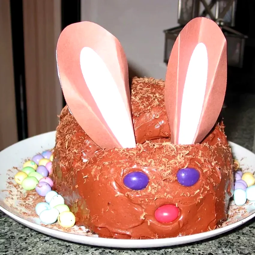 9 Rich Chocolate Mousse Cake Ideas Chocolate Mousse Bunny Cake