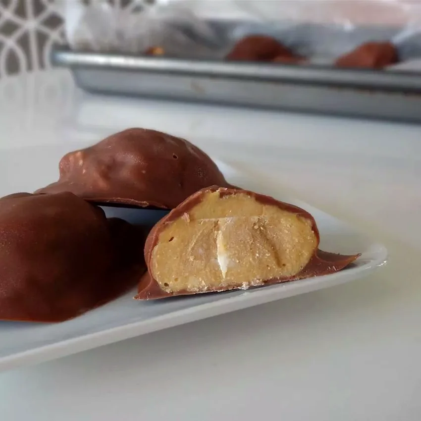 40 Peanut Butter Chocolate Treats That Are Simply Amazing Coconut Chocolate Peanut Butter Balls
