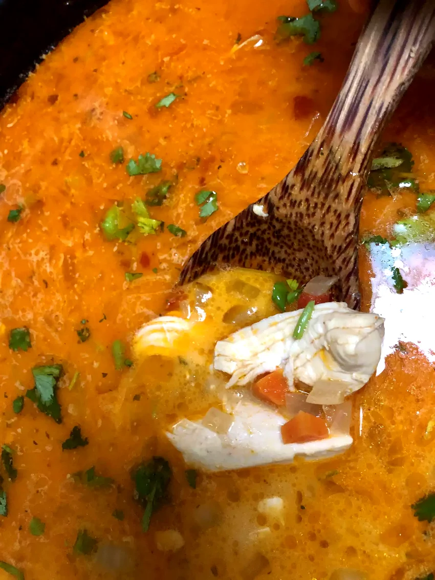 Coconut Curry Soup with Chicken