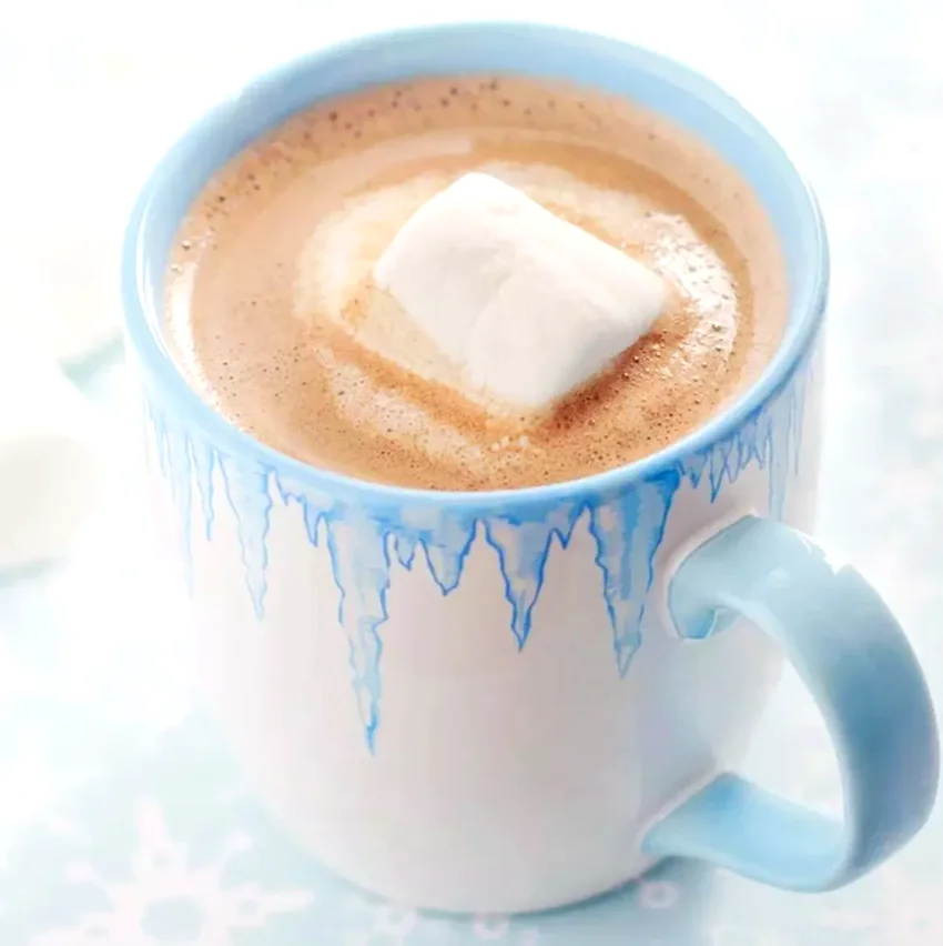 20 Cozy Hot Chocolate Recipes for Cold Winter Nights Coconut Hot Cocoa