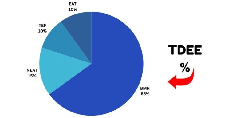 TDEE Calculator: Everythng You Need To Know NOW!