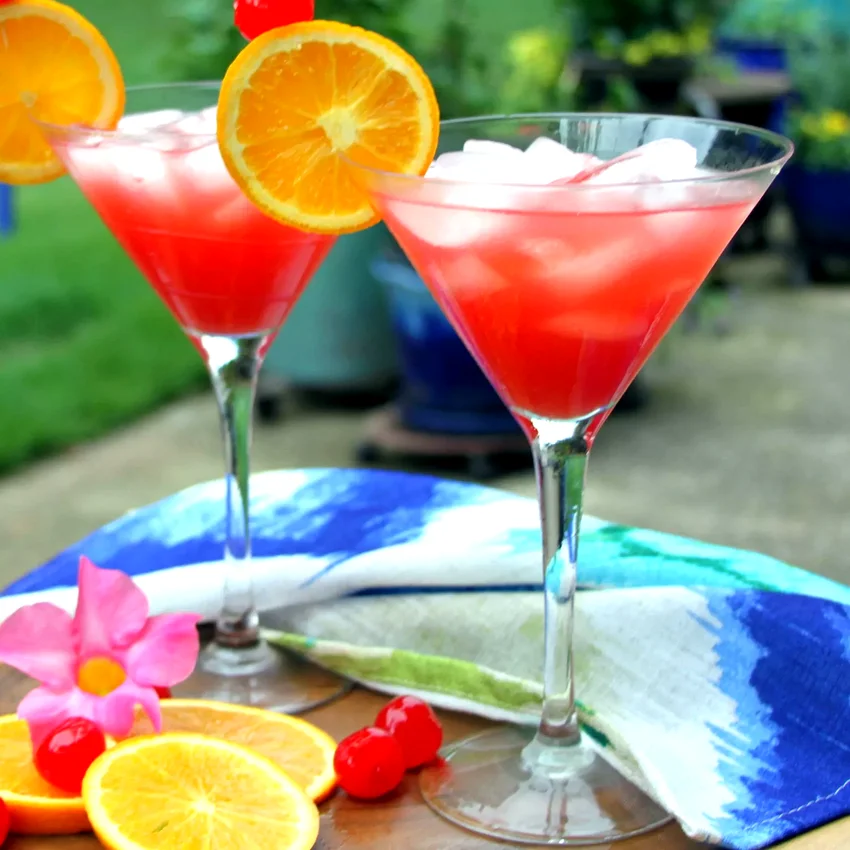 23 Festive Holiday Drinks Without Alcohol for Everyone Cran-Dandy Cooler