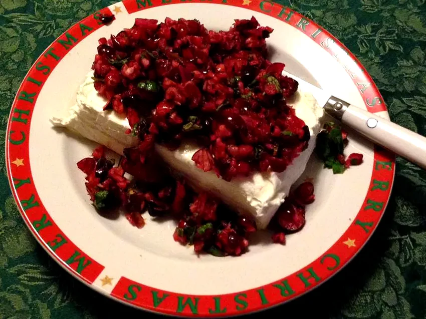Top 30 Thanksgiving Appetizer Recipes for Holiday Feasts Cranberry Salsa