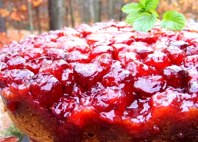 27 Amazing Cakes Using Sour Cream for Extra Moisture Cranberry Upside Down Sour Cream Cake