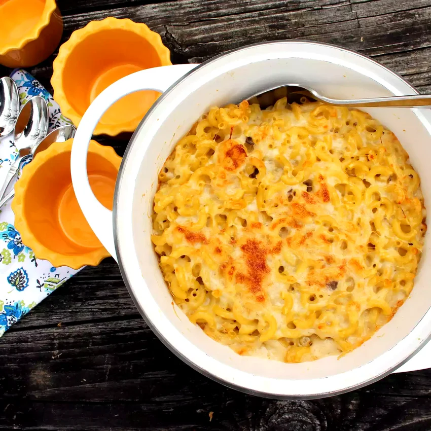 30 Dishes for Rich Mushroom Lovers Creamy Mushroom Macaroni