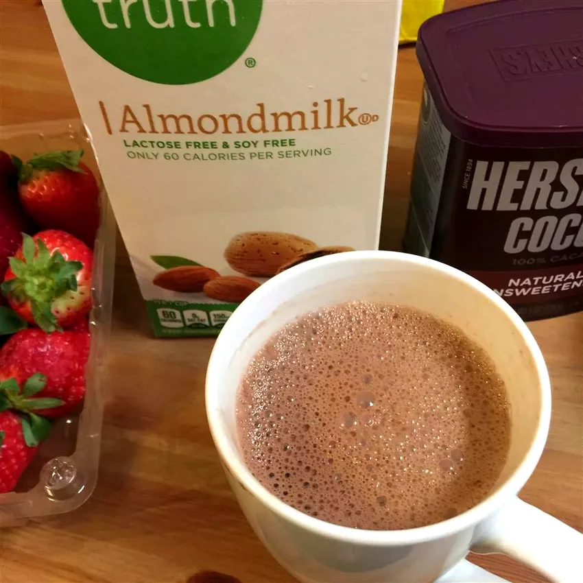 31 Amazing Recipes for Warm Homemade Hot Chocolate Delicious Vegan Hot Chocolate