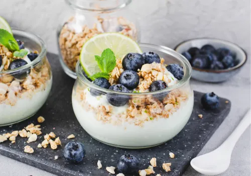 Diabetes Friendly Greek Yogurt Parfait