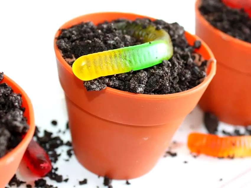 50 Oreo Dessert Ideas for Cookie and Cream Fans Dirt Cake