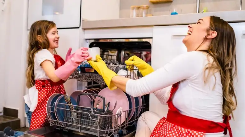 Dishwasher Sanitization