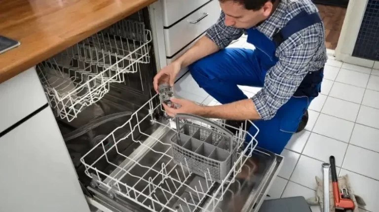 Dishwasher Stopped Mid Cycle Water In Bottom