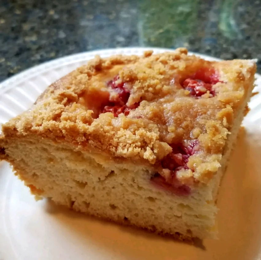 10 Amazing Plum Cake Recipes for Every Sweet Craving Drozdzowka (Polish Yeast Plum Cake)