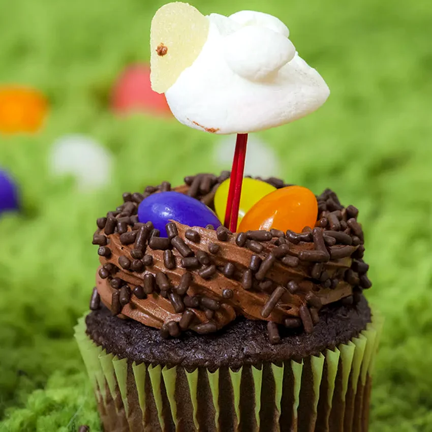 30 Top-Rated Easter Cake Ideas for Every Baking Enthusiast Easter Bird Nest Cupcakes