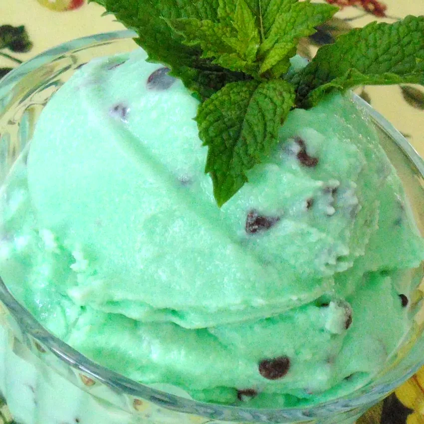 Easy Mint Chocolate Chip Ice Cream