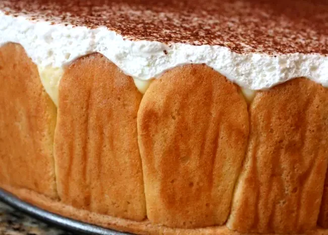 15 Amazing Dessert Ideas That Tiramisu Fans Will Love Emily